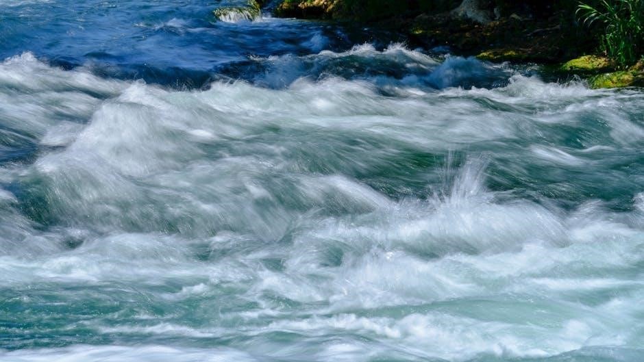 energy flow in ecosystem pdf