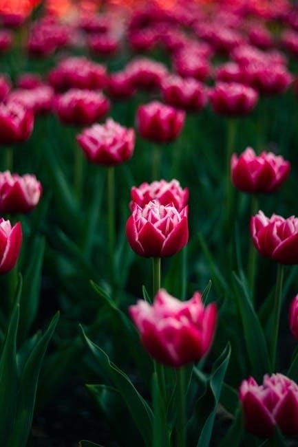 schedule of benefits ontario pdf