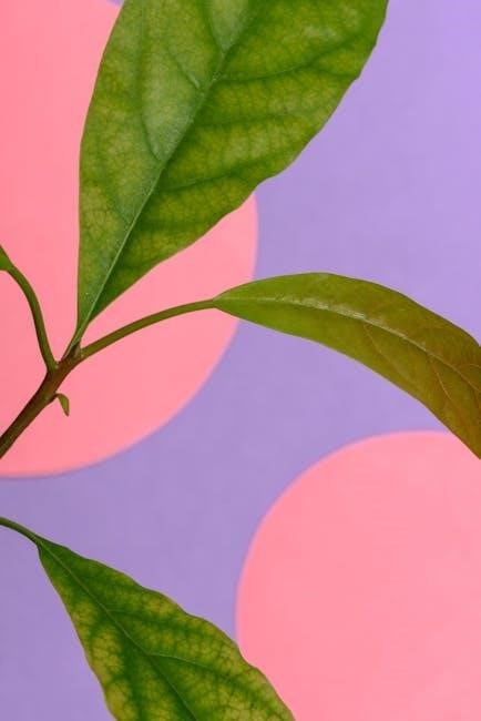 purple leaf umbrella instructions pdf
