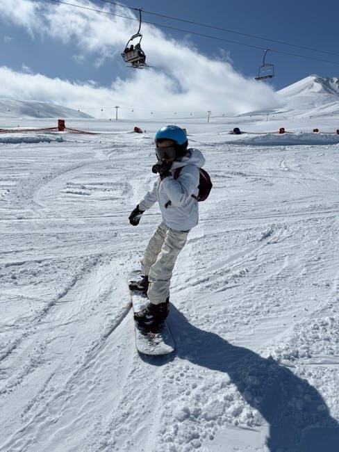 alpine ilx-507 manual