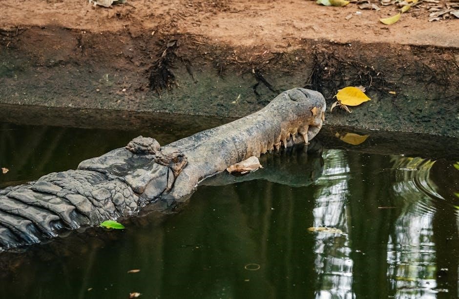 the care and keeping of you pdf free download