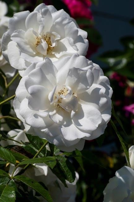 exemple examen admission secondaire pdf