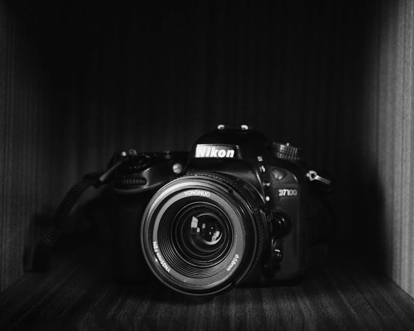 nikon d5000 manual